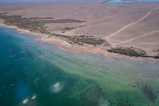 O‘zbekistonda plyaj xizmatlarini tashkil etish tartibi belgilandi