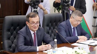 Международные наблюдатели дают высокую оценку избирательному процессу