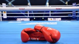 Бир кунда олти ғалаба