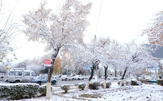 Прогноз погоды на 17 ноября