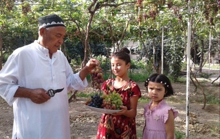 Наманганда узум пишди