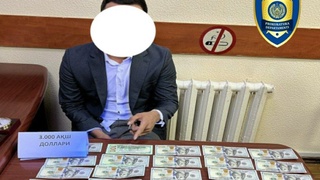 Amerika Qoʻshma Shtatlariga yuborishini vaʼda qilgan firibgar ushlandi