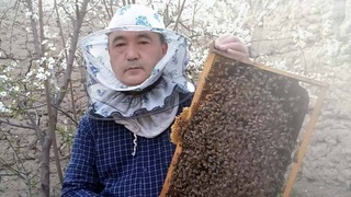 Золотое богатство природы