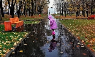 Гүздиң ақырғы күнлери жаўынлы өтиўи бақланады