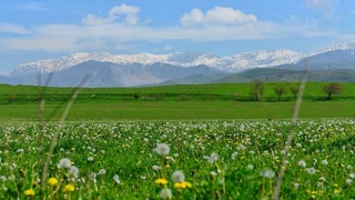 Ҳафтанинг катта қисмида ўртача иссиқ об-ҳаво сақланиб туради