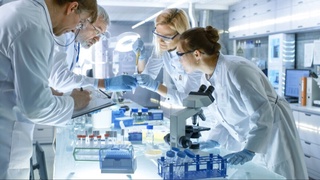 Океандаги пластик чиқиндиларни “ейдиган” бактерия яратилди