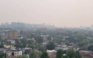 Ottavani o'rmon yong'ini tutuni qopladi