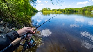 В Узбекистане физлицам разрешается бесплатно ловить не более 5 кг рыбы в сутки