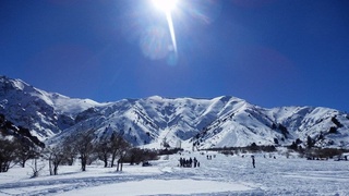Долгожданное тепло будет радовать жителей Узбекистана всю рабочую неделю