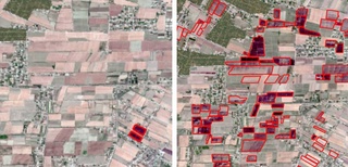 "Uzcosmos" presented space monitoring of field fires - more than 1,600 hectares have already burned down