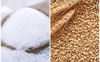 Минсельхоз: в 2022 году Узбекистан будет стабильно обеспечен пшеницей и сахаром