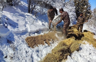 На охраняемых природных территориях Узбекистана продолжаются биотехнические мероприятия