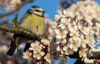 Weather forecast for March 1