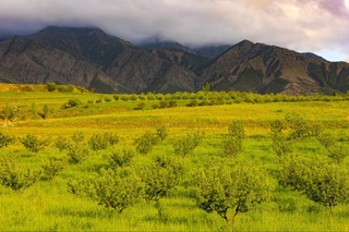 Ҳафта давомида республика ҳудудининг катта қисми юқори циклон таъсири остида бўлади — Ўзгидромет