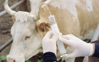 Конимехда ишчиларга 300 миллион сўмдан ортиқ пул маблағлари ундириб берилди