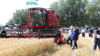 Сирдарёда «Ғалла-2021» кампаниясига старт берилди