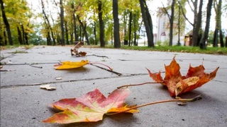 Haftaning ish kunlarida Oʻzbekiston hududida iliq ob-havo saqlanib turadi