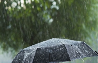 Эртага баъзи жойларда бироз ёмғир ёғиши мумкин