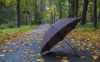 Дар нимаи дуввуми ҳафта дар Ӯзбекистон ҳаво сард мешавад