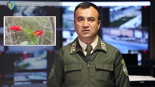 Экология вазирлиги дам олишга чиққан фуқароларни турли экологик ҳуқуқбузарлик содир этмасликка чақирди