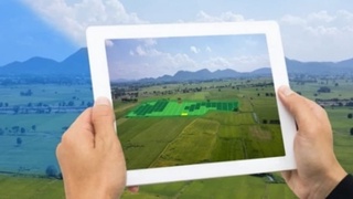 Ер олиб бериш билан боғлиқ фирибгарлик ҳолати аниқланди