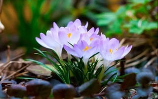 Dam olish kunlari ayrim joylarda vaqti-vaqti bilan yomgʻir yogʻadi