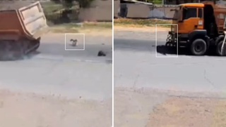 Янгийўл туманида “KamAZ” велосипедда кетаётган болани уриб юборди