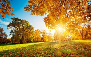 Өзбекстанда пүткил жумыс ҳәптеси даўамында ыссы ҳаўа-райы сақланып турады