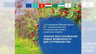 Зеленое восстановление: новые возможности для сотрудничества