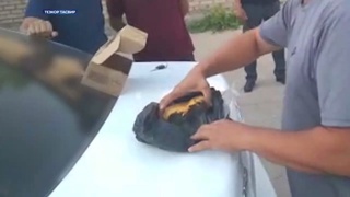 DXX Surxondaryoda transchegaraviy jinoiy guruh faoliyatiga chek qoʻydi