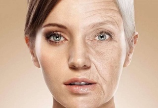 Tez qarishning yangi sababi topildi