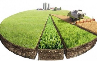 В Узбекистане приняты меры по обеспечению равенства и прозрачности в земельных отношениях