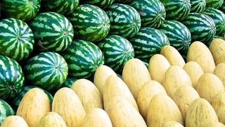 Қайси ҳудуд қовун ва тарвуз экспортида етакчи?
