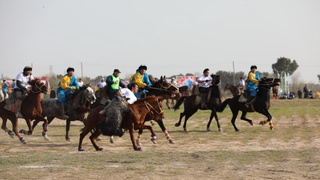 Xalqaro uloq-koʻpkari musobaqasi qizgʻin davom etmoqda