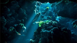 Okeanograflar dunyodagi eng katta suv osti sharsharasini topishdi