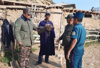 Деҳқонобод туманидаги қўнғир айиқ боласи билан боғлиқ ҳолат юзасидан қўшимча маълумот берилди