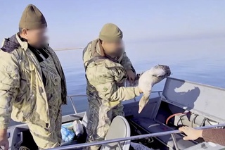 Aydar-Arnasoy koʻllar tizimida 300 dan ortiq huquqbuzarlik aniqlandi