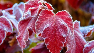 О погоде на неделю