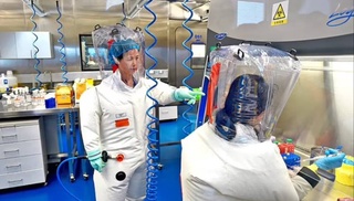 Ученые обнаружили на острове Хайнань восемь неизвестных ранее вирусов