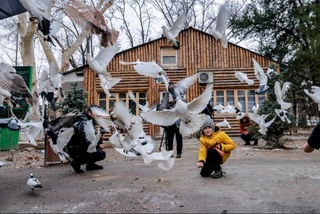 В Ташкенте прошла акция «Помощь птицам зимой»