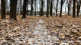 Дам олиш кунларида ҳаво илисада, кейинги ҳафтада совуқ бўлади