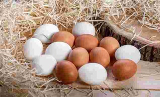 “Uy tuxumi” haqiqiymi yoki ayyorona marketing?