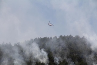 Turkiyada 163 ta o'rmon yong'inlarining aksariyati o'chirilgan