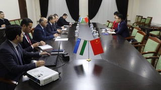 Китайская компания планирует направить инвестиции в узбекский кожпром