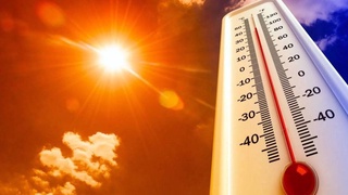 Uzhydromet: in the second half of the week, the heat will increase to +44 degrees