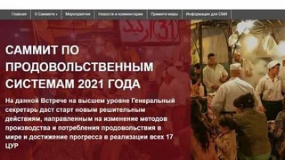 Страны готовятся к Саммиту ООН по продовольственным системам