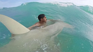 Америкалик 23 ёшли йигит баҳайбат акулани тутиб олди, кейин уни океанга қўйиб юборди