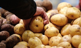 Картошкани қандай тўғри истеъмол қилиш керак – шифокор тавсияси