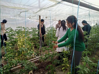 В год профессиональная школа зарабатывает десятки миллионов сумов