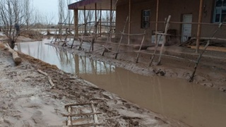 Қорақалпоғистонда содир бўлган сув тошқини ортидан қатор мансабдорларга жиноят иши қўзғатилди